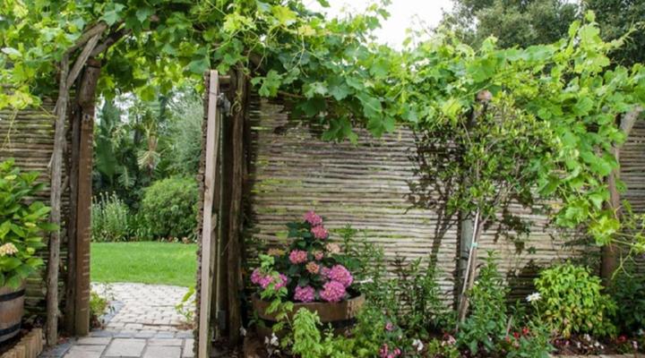 Blaauwheim Guest House