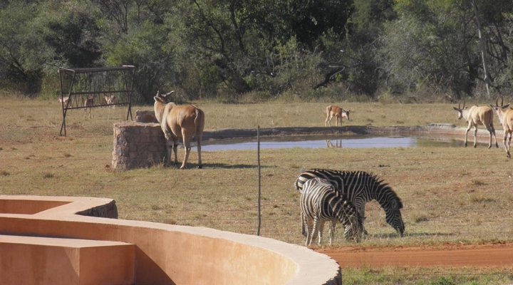 Olievenfontein Private Game Reserve