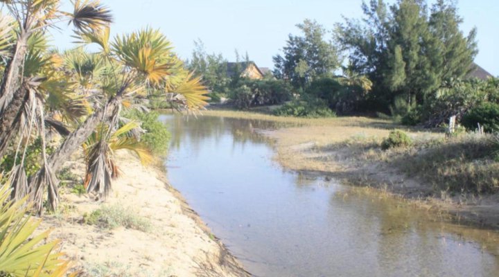 Sia Sente Estate Mozambique