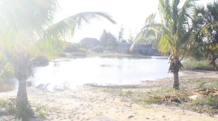 Sia Sente Estate Mozambique