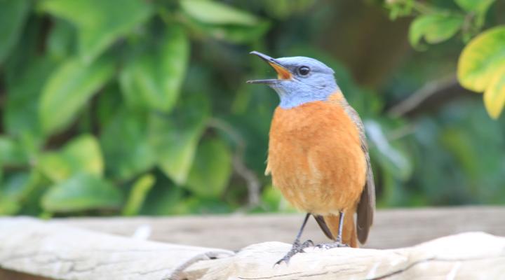 Addo Reach & Hein's Cottage