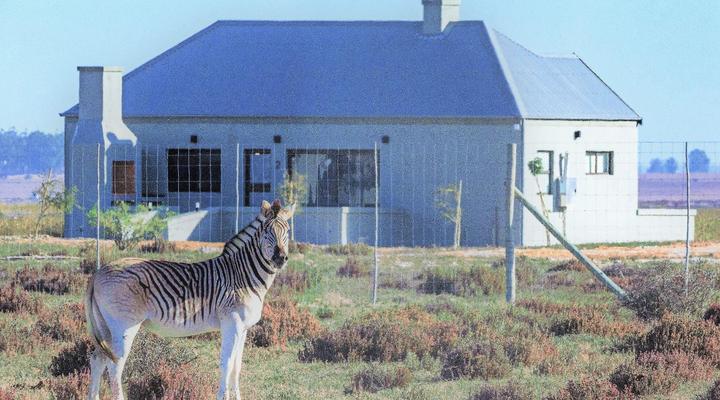 Lermitage Quagga Lodge