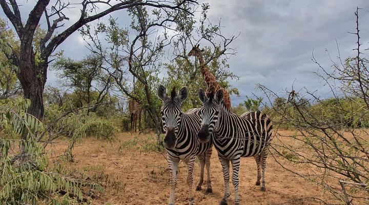 Blyde River Wilderness Lodge
