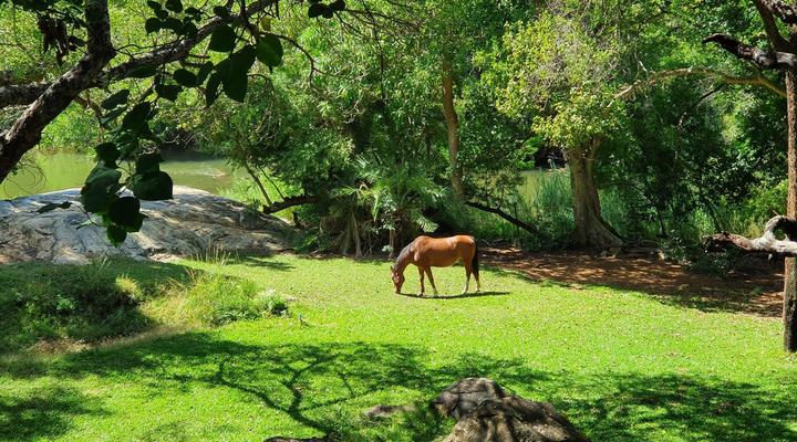 Blyde River Wilderness Lodge