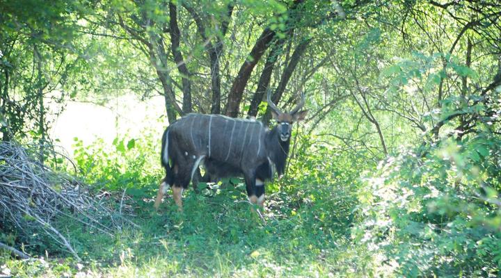 Blyde River Wilderness Lodge