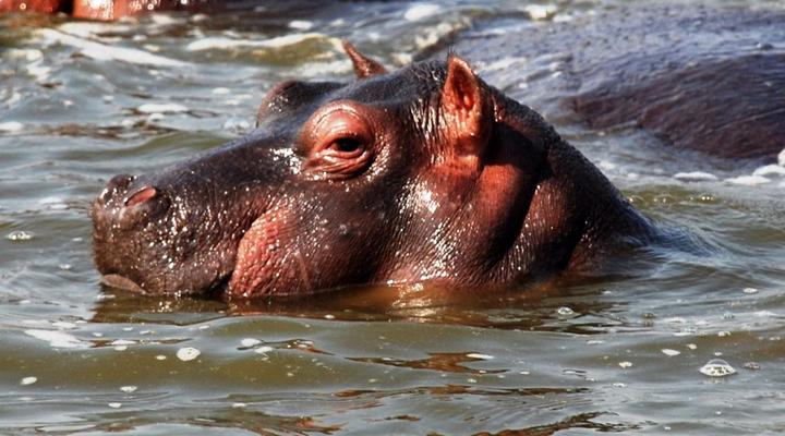 Blyde River Wilderness Lodge