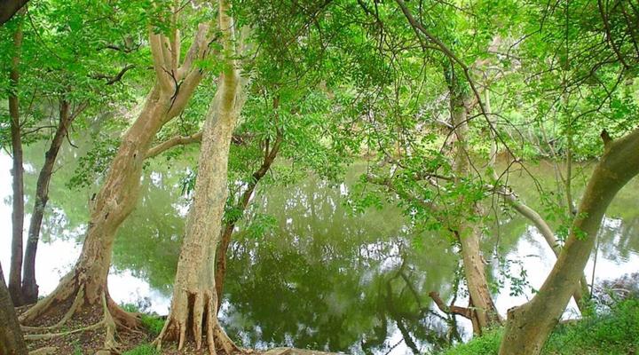 Blyde River Wilderness Lodge