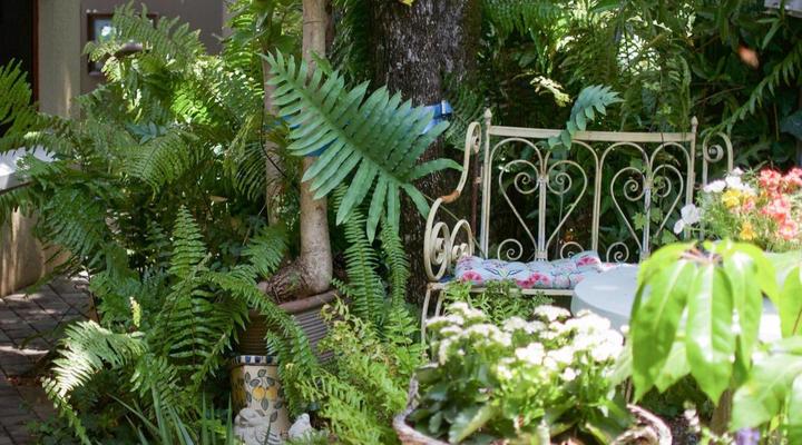 Hampton Rose Guest House