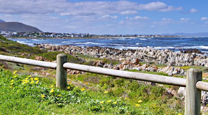 Katinka Self - Catering