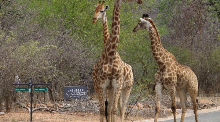 Unembeza Boutique Lodge