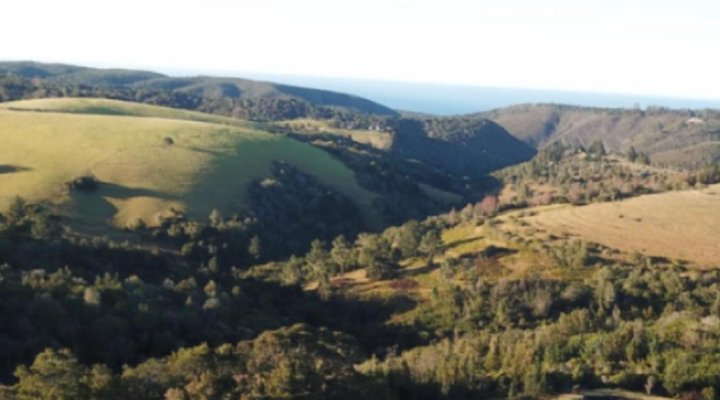 Green Hills Forest Lodge