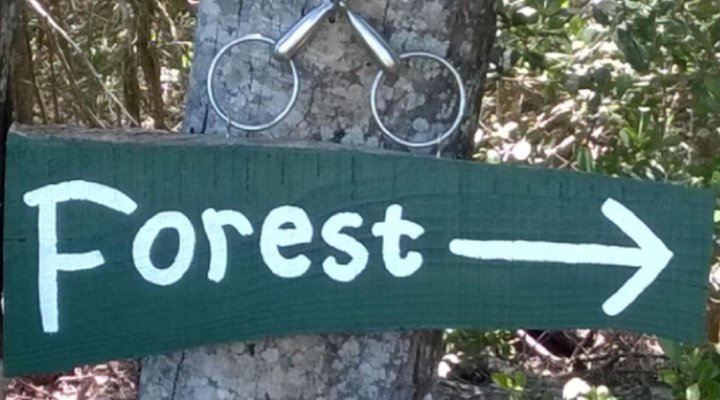 Green Hills Forest Lodge