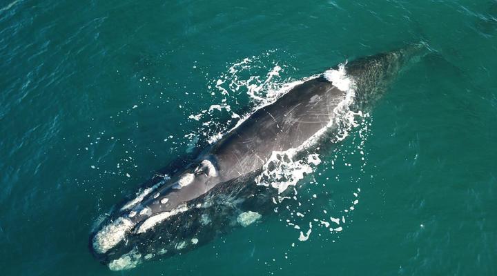 BlueSky Guest House Arniston