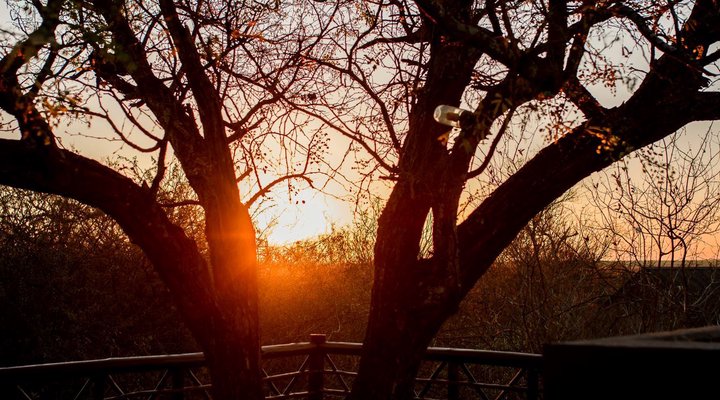 Majuli Tree Lodge