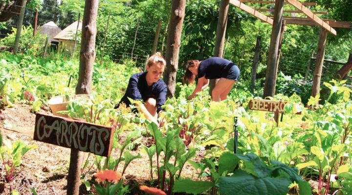 Addo African Home, Restaurant & Safari