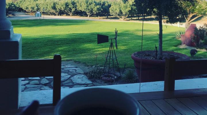 Olive Grove Guest Farm