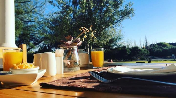 Olive Grove Guest Farm