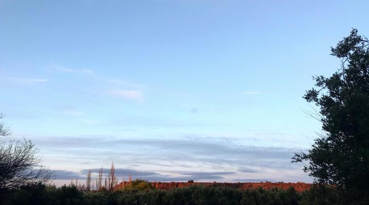 Olive Grove Guest Farm