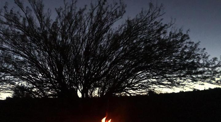 Olive Grove Guest Farm