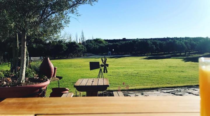 Olive Grove Guest Farm