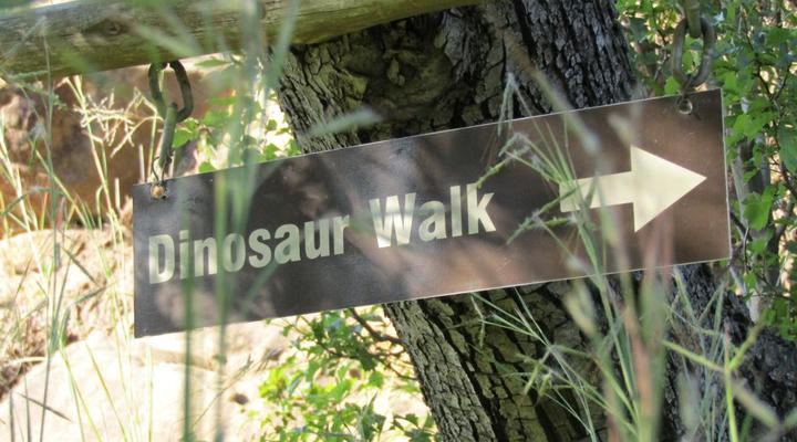 Mafube Mountain Retreat