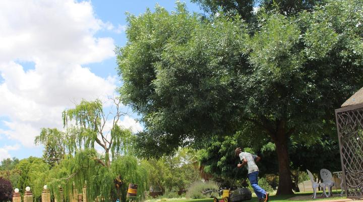 The Willow Tree Guest House