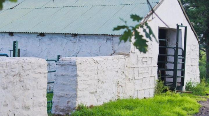 Sherborne Guesthouse