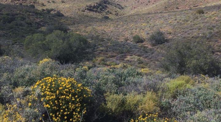 Tibani Nature Reserve