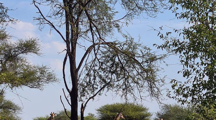 Stockpoort Border Lodge