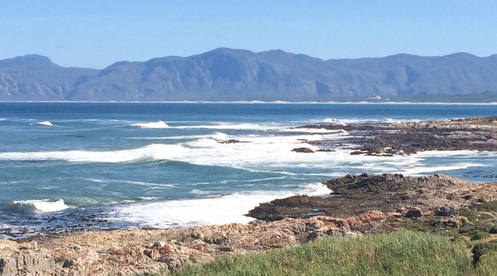 Royal Albatros Deluxe