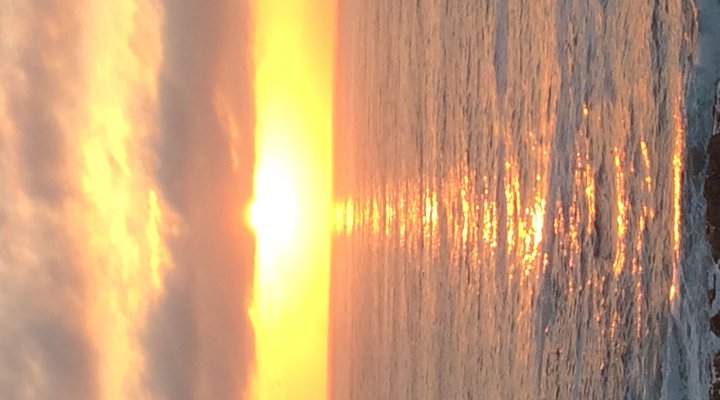 Royal Albatros Deluxe