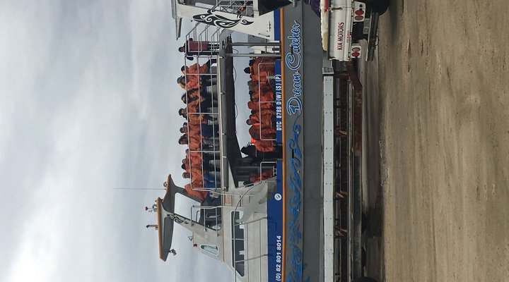 Royal Albatros Deluxe