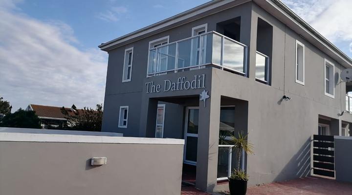 The Daffodil