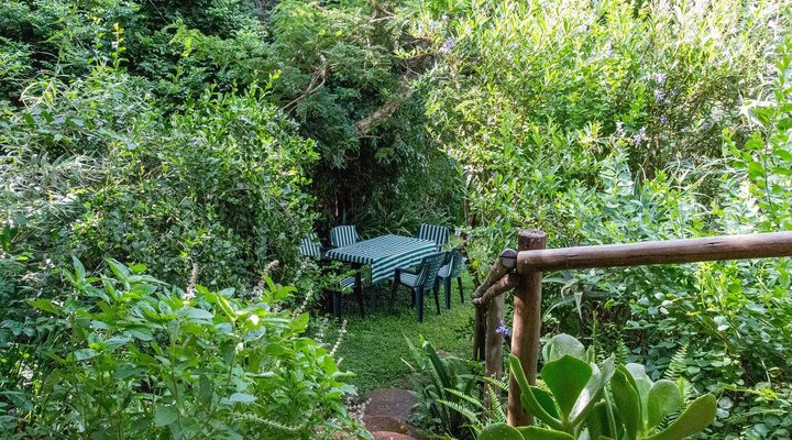 Clivia Hill Guest Cottage