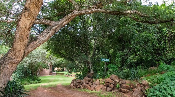 Clivia Hill Guest Cottage