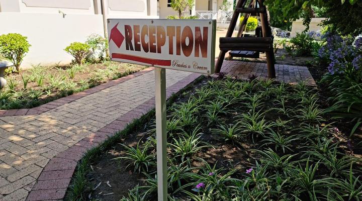 Peaches and Cream B&B