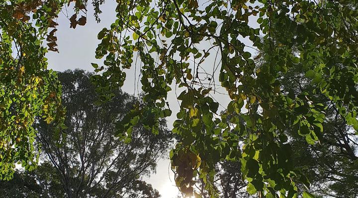 Peaches and Cream B&B