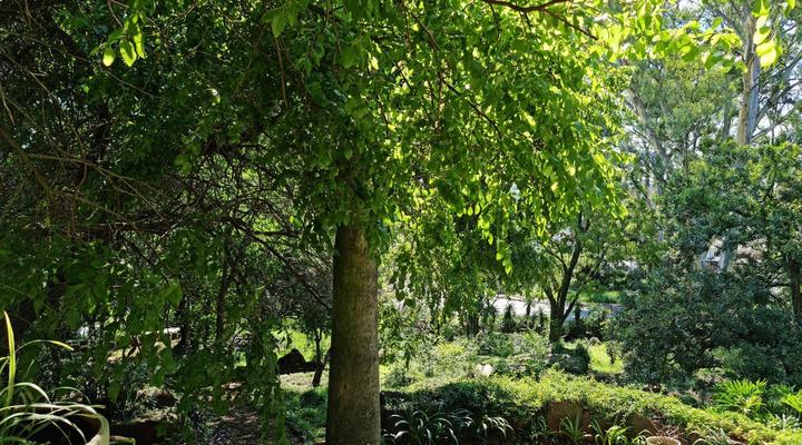 Peaches and Cream B&B