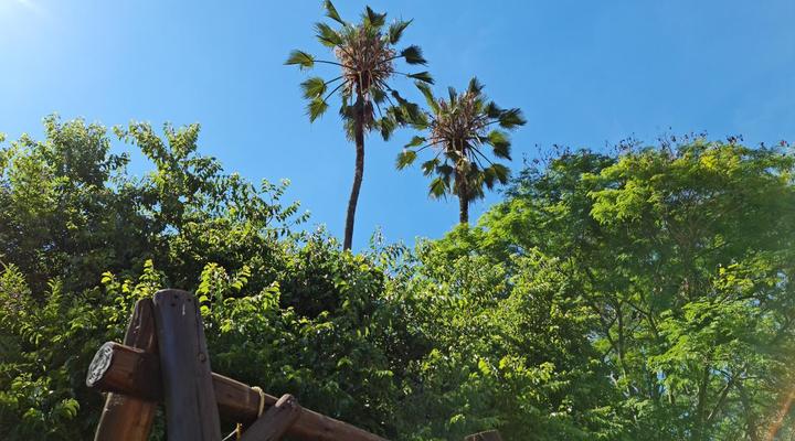 Peaches and Cream B&B