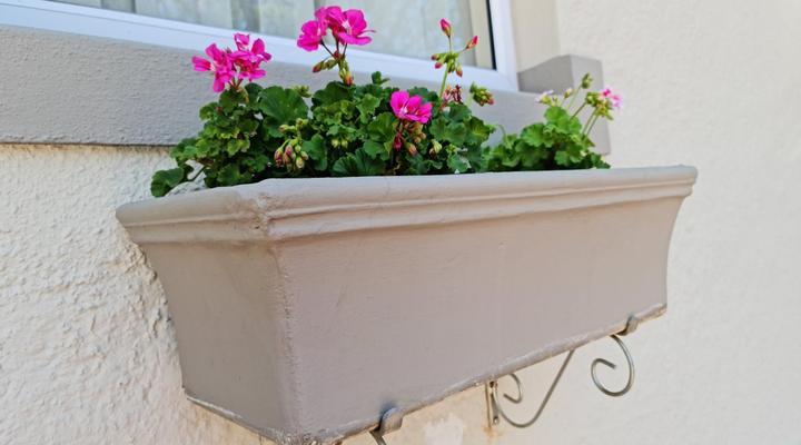 Peaches and Cream B&B