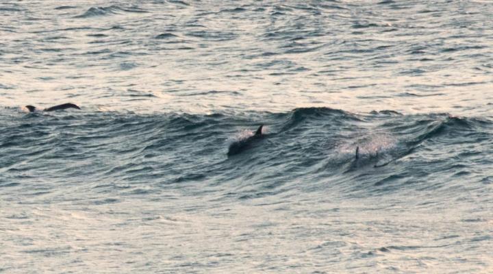 At 4 Umzumbe - Mangrove Beach Estate