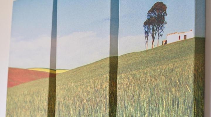 Milkwood Seaview Accommodation