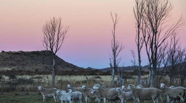 Hillmoor Stone Cottage