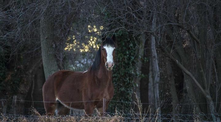 Hillmoor Stone Cottage
