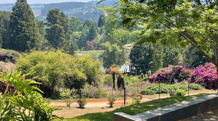 Langa Langa On The Mountain Bend