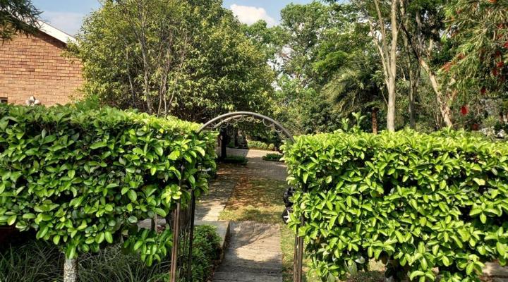 The Hills Guest House