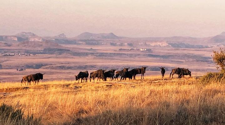 Uitzicht Private Nature Reserve and Lodge
