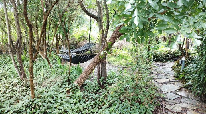 Tube 'n Axe Backpackers Lodge