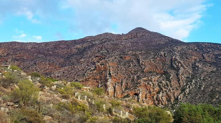 Montagu Little Sanctuary