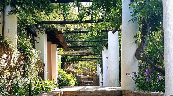 Montagu Little Sanctuary